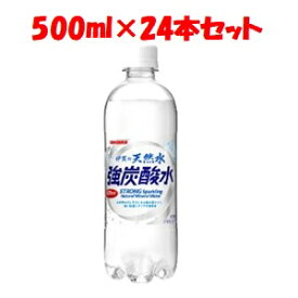 「セット販売」「日本サンガリア」　伊賀の天然水強炭酸水　500ml PET　ケース　500ml×24本