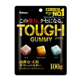 「カバヤ食品」　タフグミ　100g×6個セット