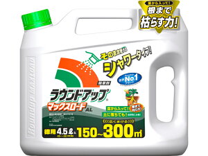 ���i�摜
