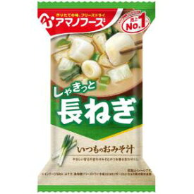 「アサヒグループ食品」　いつものおみそ汁　長ねぎ　9g×10個セット