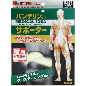 yaz oeR[T|[^[ p^Cv ubN 傫 jp 1yT|[^[z