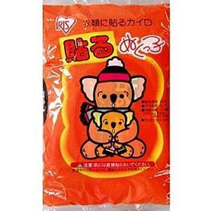 -yACXz \ ʂq 10 yqpizyĝăJCz