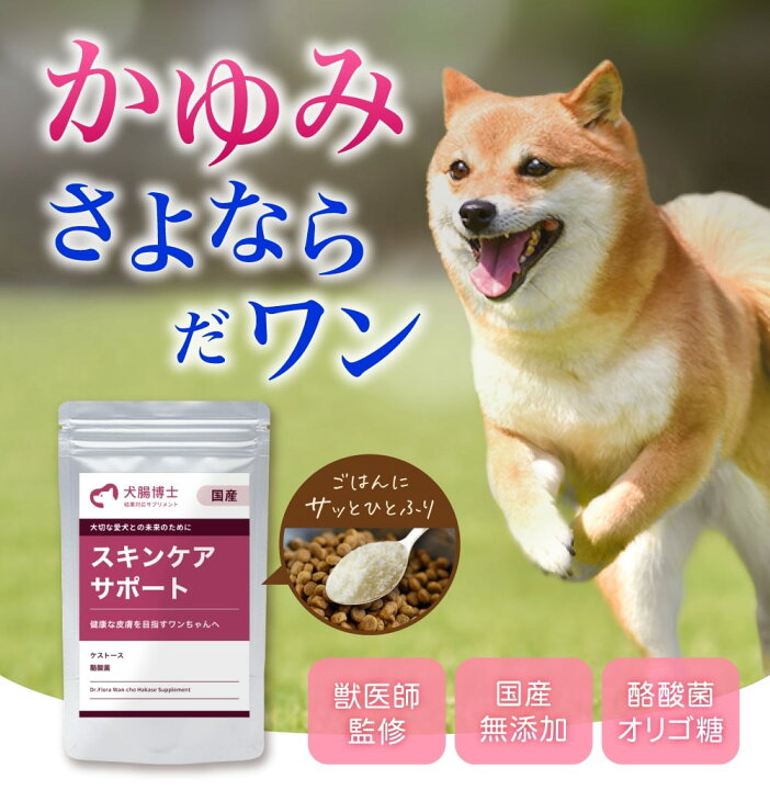 楽天市場 定期購入 犬腸博士 わんちょうはかせ ドクターサプリ スキンケアサポート アトピー 皮膚 アレルギー かゆみ 免疫 国産 無添加 ペット 老犬 小型犬 高齢犬 シニア犬 下痢 軟便 ファインシード 楽天市場店 楽天市場 定期購入 犬腸博士 わんちょうはかせ ドクターサプリ スキンケアサポート アトピー 皮膚 アレルギー かゆみ 免疫 国産 無添加 ペット 老犬 小型犬 高齢犬 シニア犬 下痢 軟便 ファインシード 楽天市場店