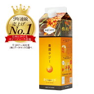 豊潤サジー 1000ml サジージュース【紙パックタイプ】 公式 フィネス 200種類以上の栄養素が含まれたドリ…