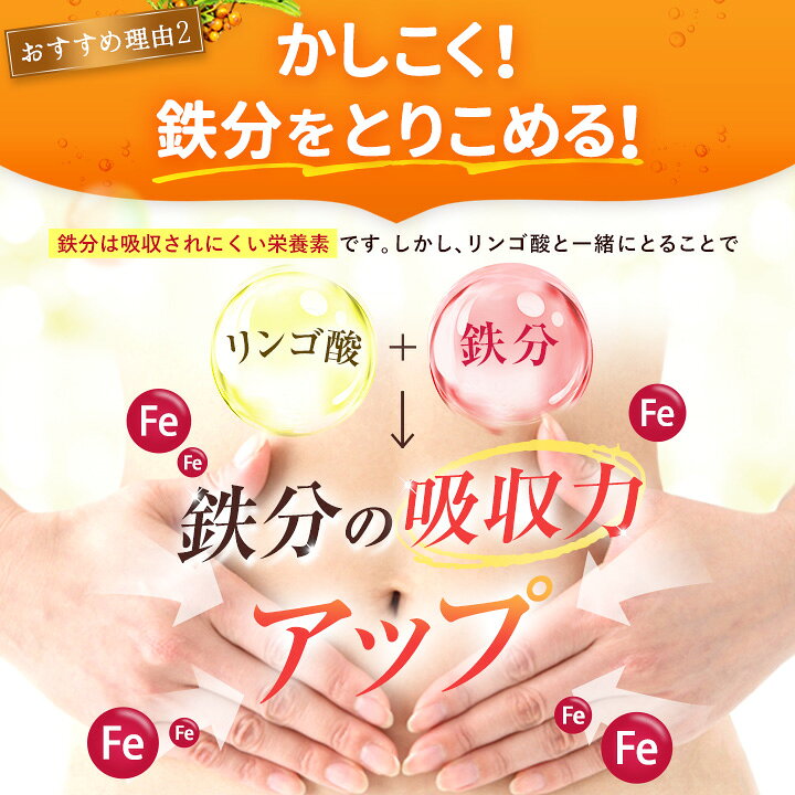 楽天市場】豊潤サジー 1000ml サジージュース【紙パックタイプ】 公式 