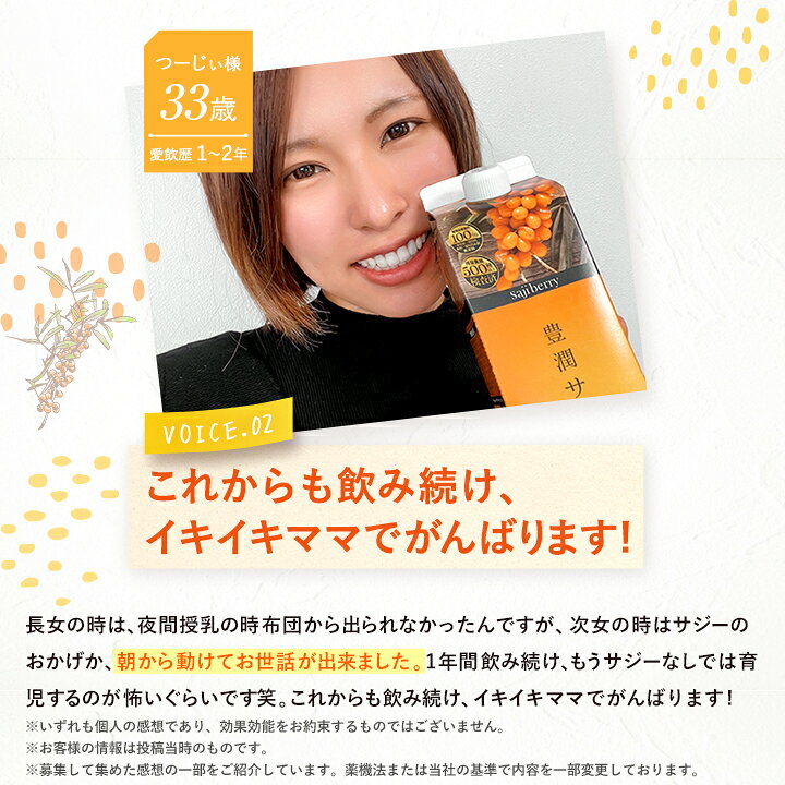 楽天市場】豊潤サジー 1000ml サジージュース【紙パックタイプ】 公式 