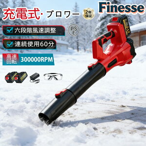 y20OFFX[p[SALEIzu[  [du[  WFbghCu[ d GA_X^[ R[hX uA[ ^ y dCGA_X^[ {^[{WFbgt@ 