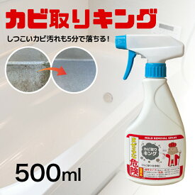 カビ取りスプレー 業務用 強力カビ取り剤 カビ取りキング 500ml カビ対策 かびとり カビとり お掃除プロ お風呂 壁 マットレス シンク 排水口 浴槽 畳 木材 木枠 フローリング 押入れ キッチン 洗面台 排水溝 トイレ 自宅