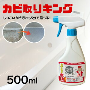 JrXv[ Ɩp ̓Jr JrLO 500ml Jr΍ тƂ JrƂ |v C  }bgX VN r   ؍ ؘg t[O  Lb`