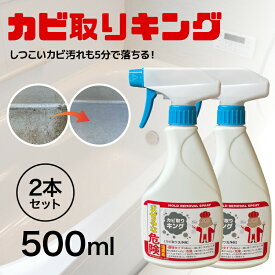 カビ取りスプレー 業務用 強力カビ取り剤 カビ取りキング 500ml 2本 カビ対策 かびとり カビとり お掃除プロ お風呂 壁 マットレス シンク 排水口 浴槽 畳 木材 木枠 フローリング 押入れ キッチン 洗面台 排水溝 トイレ 自宅