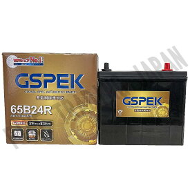 カーバッテリー ホンダ オデッセイ RC4 H28/2-H29/11 寒冷地仕様車 バッテリー GSPEK 車 Gシリーズ G-65B24R/PL 【H04006】
