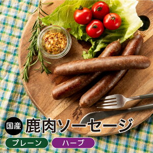  \[Z[W 3{ Y WrG v[ n[u ܂ Mtg ^pN ᎉb 100%iY