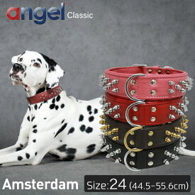 楽天市場 スパイク 首輪 胴輪 リード 犬用品 ペット ペットグッズの通販
