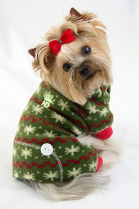 yHIP DOGGIEz~AEgbg Fuzzy Snow Jumper XS-M   ^ q ^  킢 h g t[X NX}X c[ H ~ 10FZSF