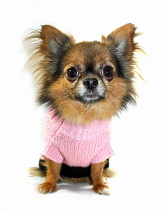 yHIP DOGGIEz~AEgbg Classic COCO Mohair Sweater XS-M   ^ q ^  킢 h g Z[^[ jbg H ~ { 7CLCP 7CLCC