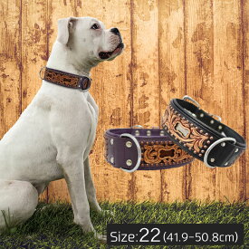 楽天市場 本 Anan 犬用品 ペット ペットグッズ の通販