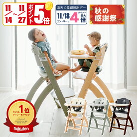 【11/14～27 P5倍】ビヨンドジュニア ベビーチェア オプション買い足し不要 コスパ抜群 3年保証 ハイチェア キッズチェア 赤ちゃん 子ども イス 立ち上がり防止 テーブル付 離乳食 お手入れ簡単 5点式ベルト クッション 日本総代理店 Beyond Junior abiie