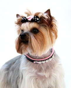 yHIP DOGGIEzAEgbg sN_Chn[g̎ ̎q  XS-M  n[lX  ^ q ^  킢