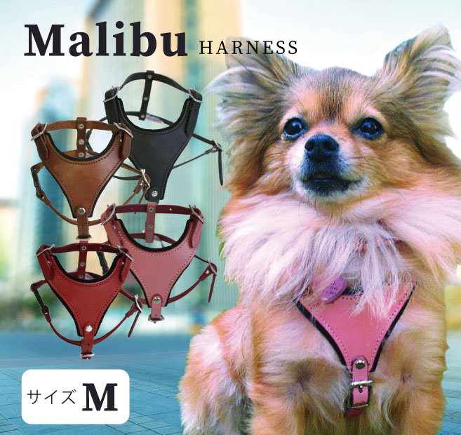 送料無料 柔らかく耐久性のある最高級の素材と繊細な手作りのデザインです 本革ハーネス 小型犬用 40％OFFの激安セール ワンちゃん Angel アウトレット 有名な Malibu エンジェル M ハーネス