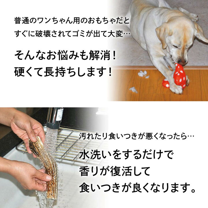 楽天市場 永平寺産 天然鹿の角 Ss 犬 おもちゃ 永平寺ジビエ 鹿 角 デンタルケア 歯 丈夫 硬い ストレス解消 ストレス発散 小型 子犬 中型 大型 小物 骨 ボーン おやつ ガム 安心 安全 Baby West