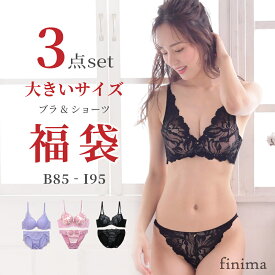 B85 〜 I95 グラマーサイズ ブラセット おまかせ 福袋 大きいサイズ ブラジャー ＆ ショーツ セット 3組入り 下着 レディース 2025 【送料無料※沖縄は追加送料】[メール便不可]【ブラセット ブラ&ショーツ ブラジャー ブラ福袋 下着 福袋】
