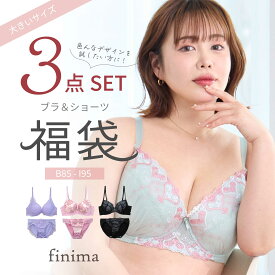 18日9:59までSALE価格★ P5倍 B85 〜 I95 グラマーサイズ ブラセット おまかせ 福袋 大きいサイズ ブラジャー ＆ ショーツ セット 3組入り 下着 レディース 2026 【送料無料※沖縄は追加送料】[メール便不可]【ブラセット ブラ&ショーツ ブラジャー ブラ福袋 下着 福袋】