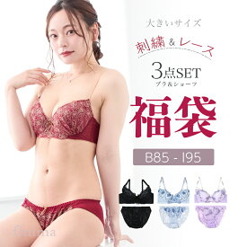B85 〜 I95 グラマーサイズ ブラセット フェミニン 刺繍 3セット 福袋 ブラ 下着福袋 ブラ＆ショーツ 3組入り 福袋 2025 【送料無料※沖縄は追加送料】[メール便不可]【ブラセット ブラジャー 下着 レディース グラマー】