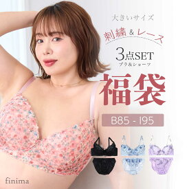 18日9:59までSALE価格★ P5倍 B85 〜 I95 グラマーサイズ ブラセット フェミニン 刺繍 3セット 福袋 ブラ 下着福袋 ブラ＆ショーツ 3組入り 福袋 2026 【送料無料※沖縄は追加送料】[メール便不可]【ブラセット ブラジャー 下着 レディース グラマー】