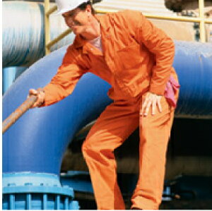 RED KAP(bhLbvj cCANVobNJo[I[inE@Ȃ@ciMj