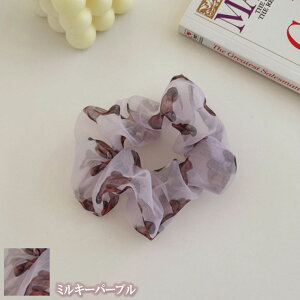 3_ȏwő100~wẑ N} xA VtHVV VV 7J[ fB[X { ~j hbg Jt  킢    wAANZT[ wAS