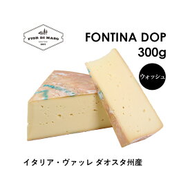 フォンティーナ DOP 約300g | Fontina DOP