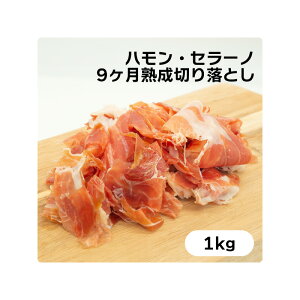 �؂藎�Ƃ� �n�����E�Z���[�m 9���� 1kg x 1�� | Jamon Serrano 9months kiriotoshi �X���C�X �u���b�N ���n�� ���n�����n���؂藎�Ƃ�