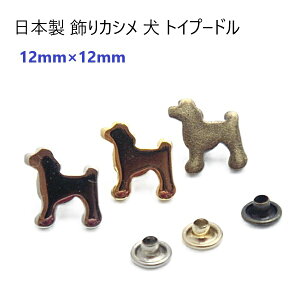 {@JV@ gCv[h Vo[ S[h AeB[N@MBS