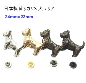 {@JV@ eA Vo[ փp[c ֋ [h@MBS