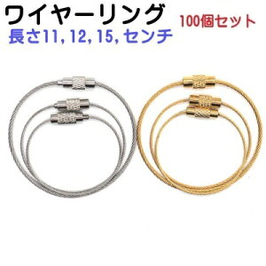 100Zbg lWC[O@C[1.0mm@11CM@S[h@XeX@C[L[z_[