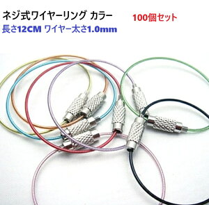 100Zbg@lWC[O J[ C[1.0mm@12CM@XeX@C[L[z_[