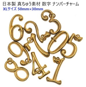 { XLTCY  `[ ^イ 50mm(S)