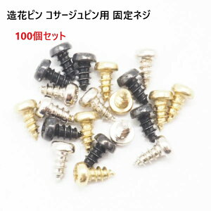 100Zbg { ԃs RT[Wsp̌ŒlWł Vo[ S[h ubN AeB[N u[`s RT[Ws Es Œ lW }[[ }[[v_Nc MBS