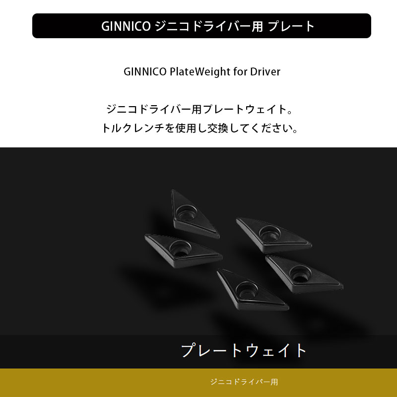 楽天市場】GINNICO ジニコドライバー用 プレート ジニコ イオン