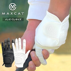 LINEo^500~OFF StO[u TCY Y t[ St 蒅p O[u  }bNXLbg MAXCAT 葕p jp   t[TCY 22`25cm LтLk ꍇ t