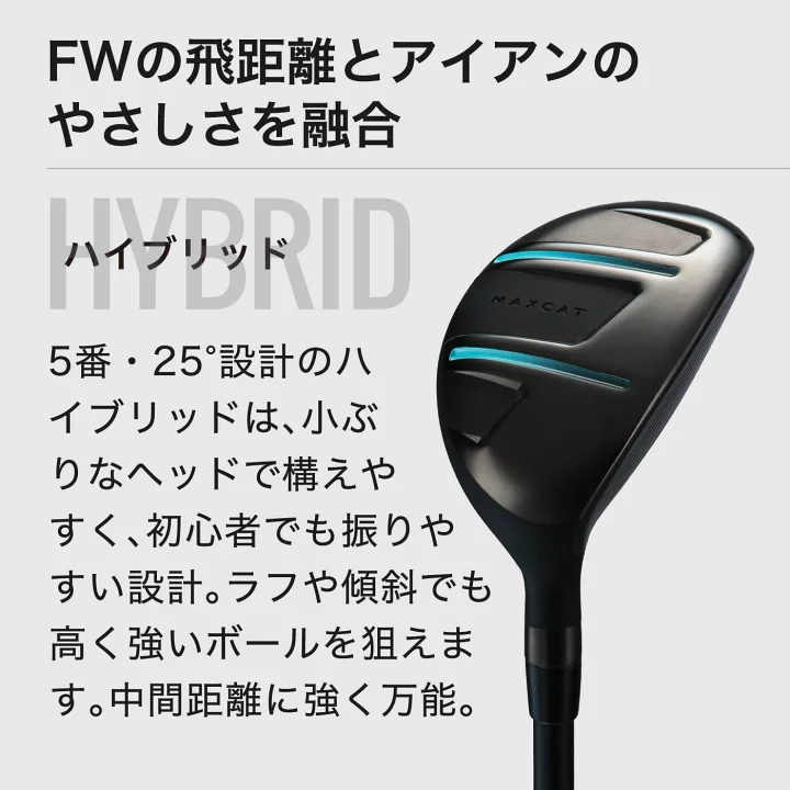 楽天市場】LINE登録で500円OFF☆贅沢 ゴルフクラブセット ゴルフセット 