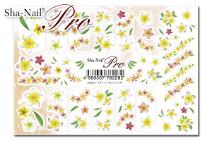 ylR|XzʃlCProvA@B@i`