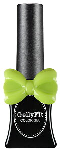 Gelly Fit(WF[tBbg)@J[WF|bV@11ml@M[J[ SS213