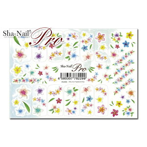 ylR|XzʃlCProvA@B@Jt