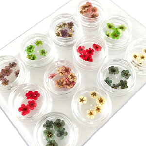 ylR|XzhCt[ DRYFLOWER@12F×e5Zbg [WFlC UVCg W UVNtgW Wt Wp[c lCLbg SHANTI]