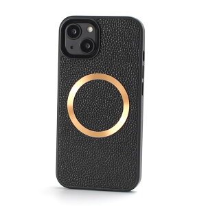 iphone16 P[X U[ magsafe }OZ[t iphone16e iphone16Pro iphone16Plus iphone16ProMAX }OZ[tΉ l킢 ACtH 16 16e 16pro 16plus 16promax Jo[ magsafeΉ }Olbg  16v iphon