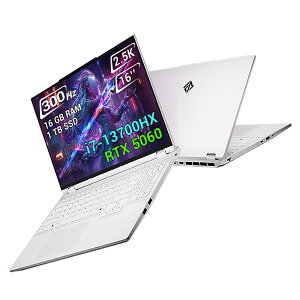 FIREBAT Q[~Om[gp\Ry300Hz/5060/i7/1TB/fA RAMz2560x1600 16:10 WQXGA | RTX 5060 GPU | Intel Core i7-13700HX CPU | RGB obNCg | 16GB(8x2) DDR5 RAM | 1TB PCIe4.0 SSD | zCg^ m[gp