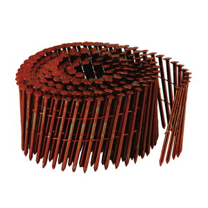 y݌ɏzY C[ NB N65 IW 65mm 1(250{×10)