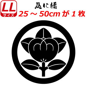 Ɩ XebJ[ ۂɋk XebJ[ 25`50cm \D  N} B oCN wbg ~ 퍑    h   V[ X}z