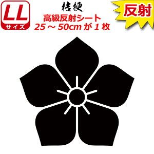 Ɩ  XebJ[ j[ 25`50cm \D  N} B oCN wbg ~ 퍑    h   V[ X}z